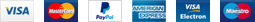 Elementor Footer #1100