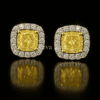 Trending yellow diamond earrings in 18K gold – Reeva Rare CVD diamond yellow stud earrings elegant gold design